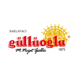 gulluoglu